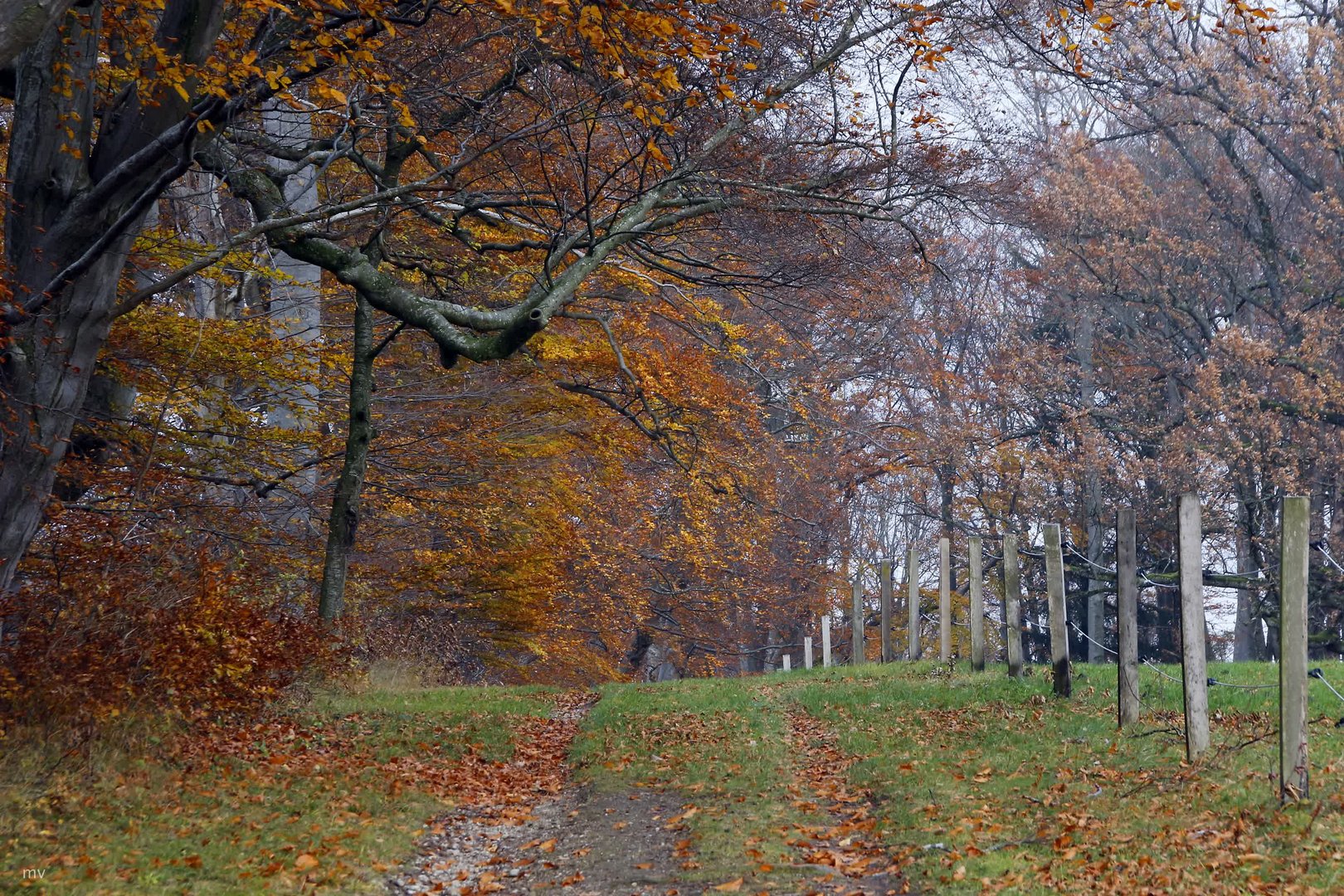 Herrenchiemseeherbst