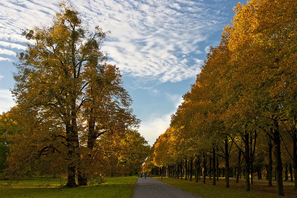 Herrenhausen