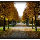 Herrenhausen..