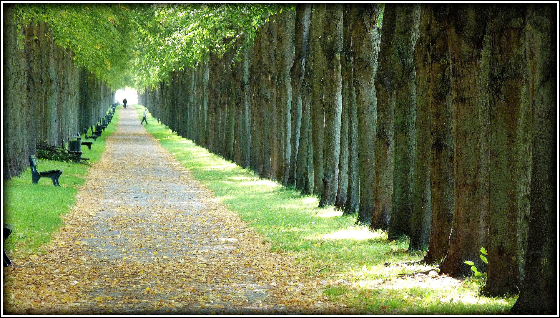 Herrenhausen im späten September 