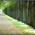 Herrenhausen im späten September 