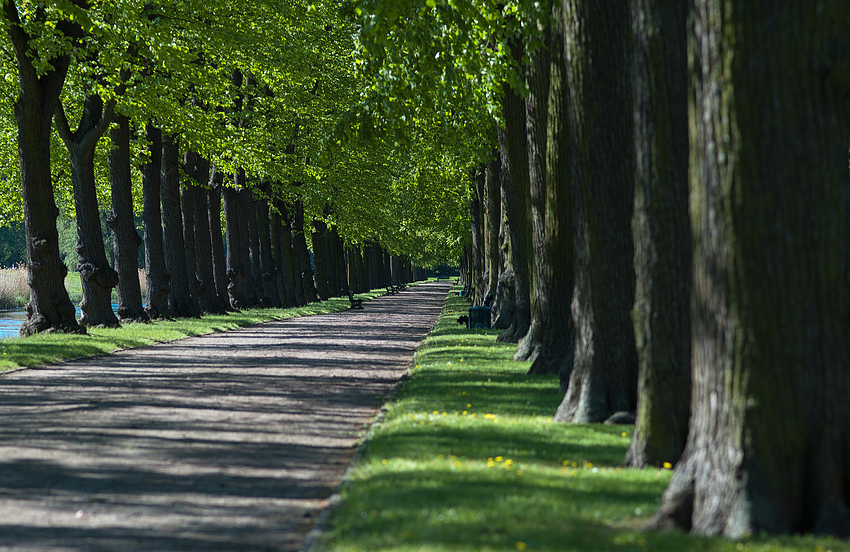 Herrenhausen mit Perspektive