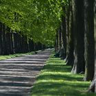 Herrenhausen mit Perspektive