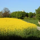 Herrenhut in der Oberlausitz