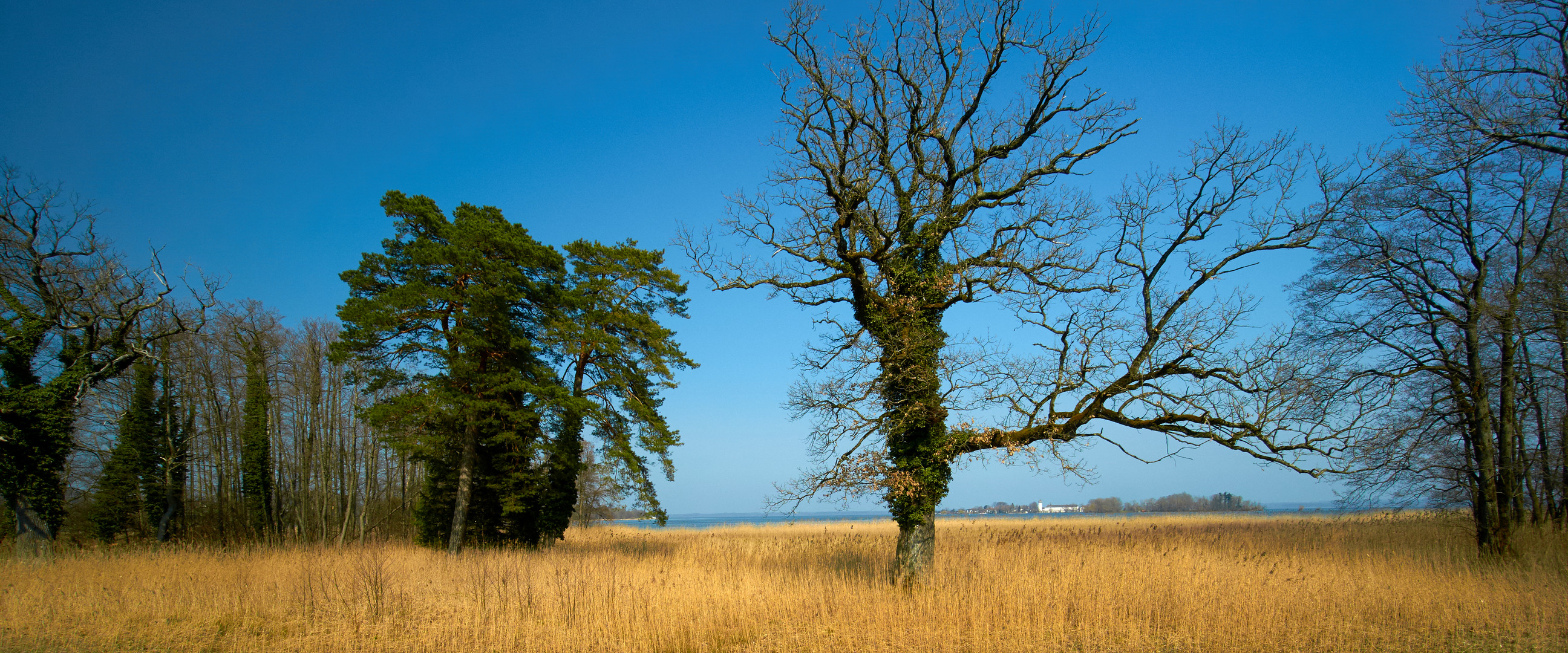 Herreninsel