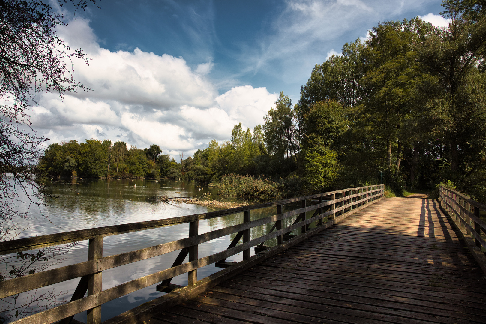 Herrenkopfbrücke