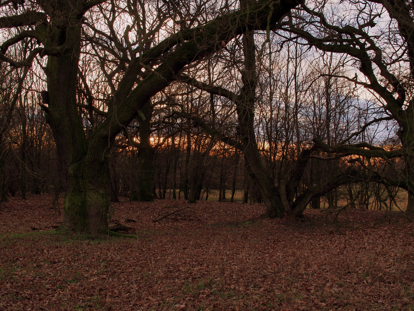 Herrenkrug Park Magdeburg