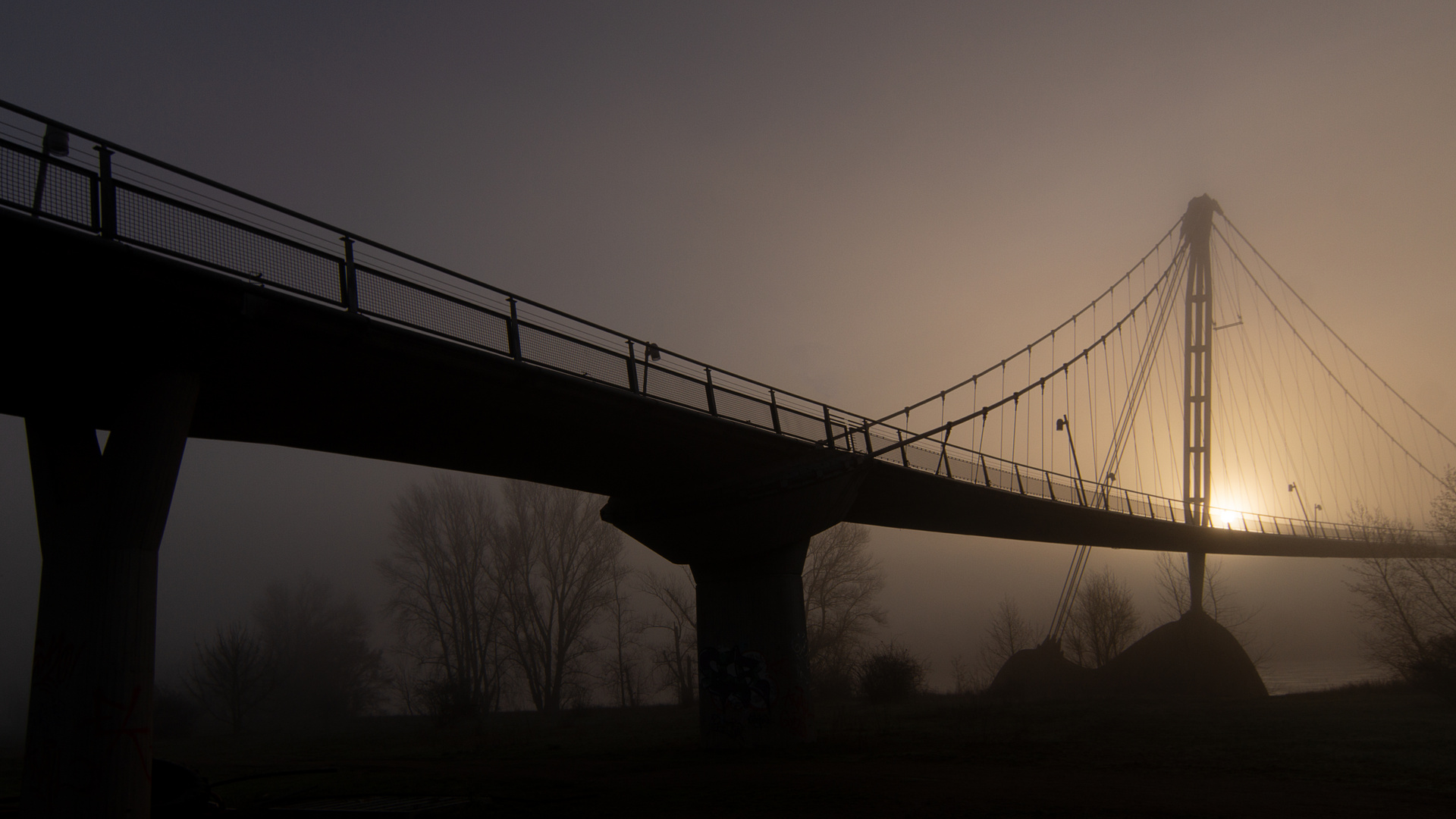 Herrenkrugbrücke Magdeburg im Sonnenaufgang bei Nebel