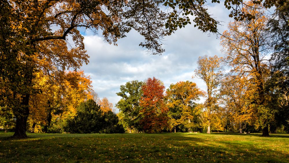 Herrenkrugpark Magdeburg