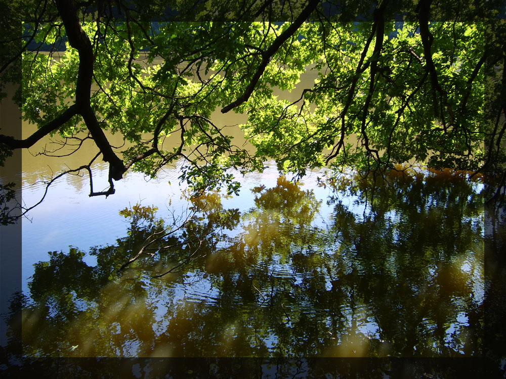 Herrensee 1