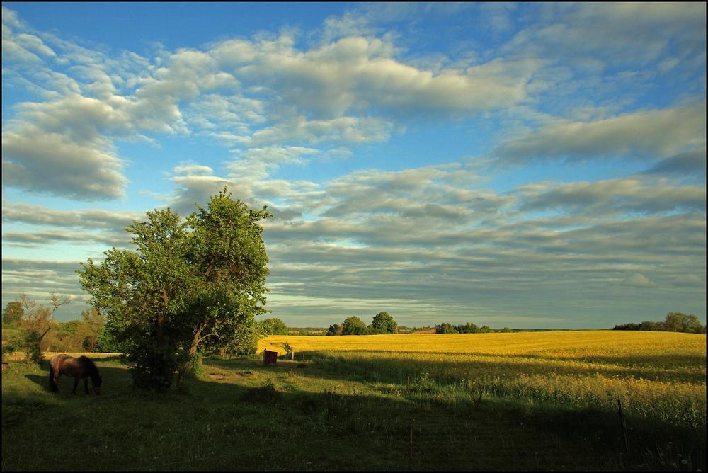 Herrentag