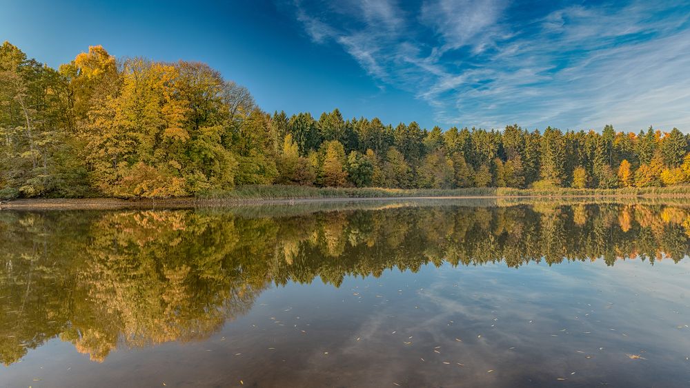 Herrenteich gespiegelt