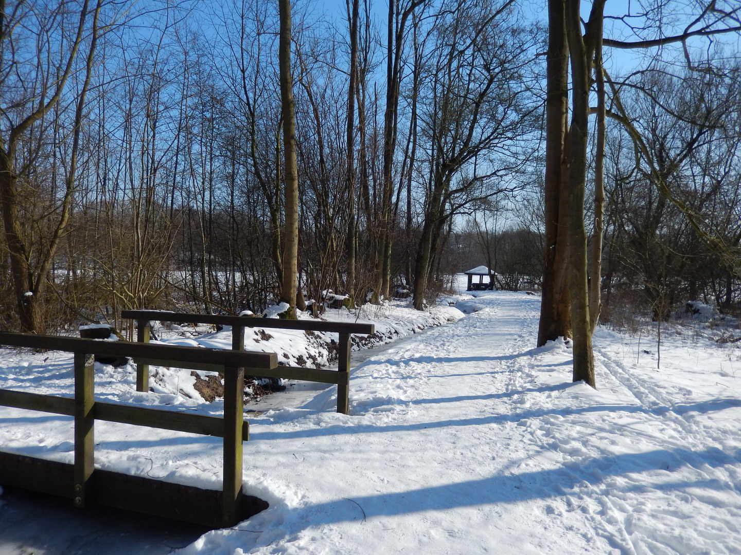 Herrenteich im Winter