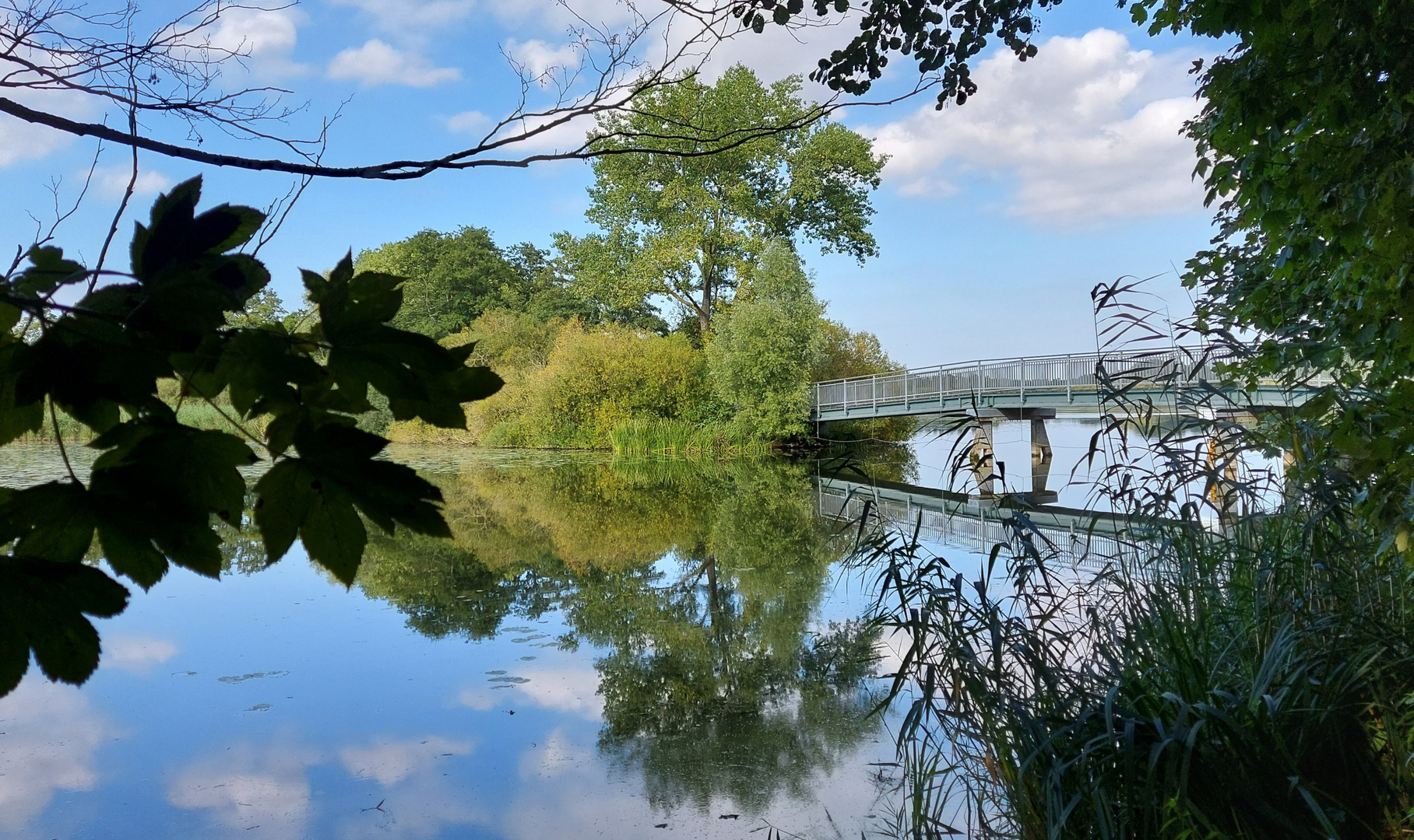 Herrenteich in Reinfeld