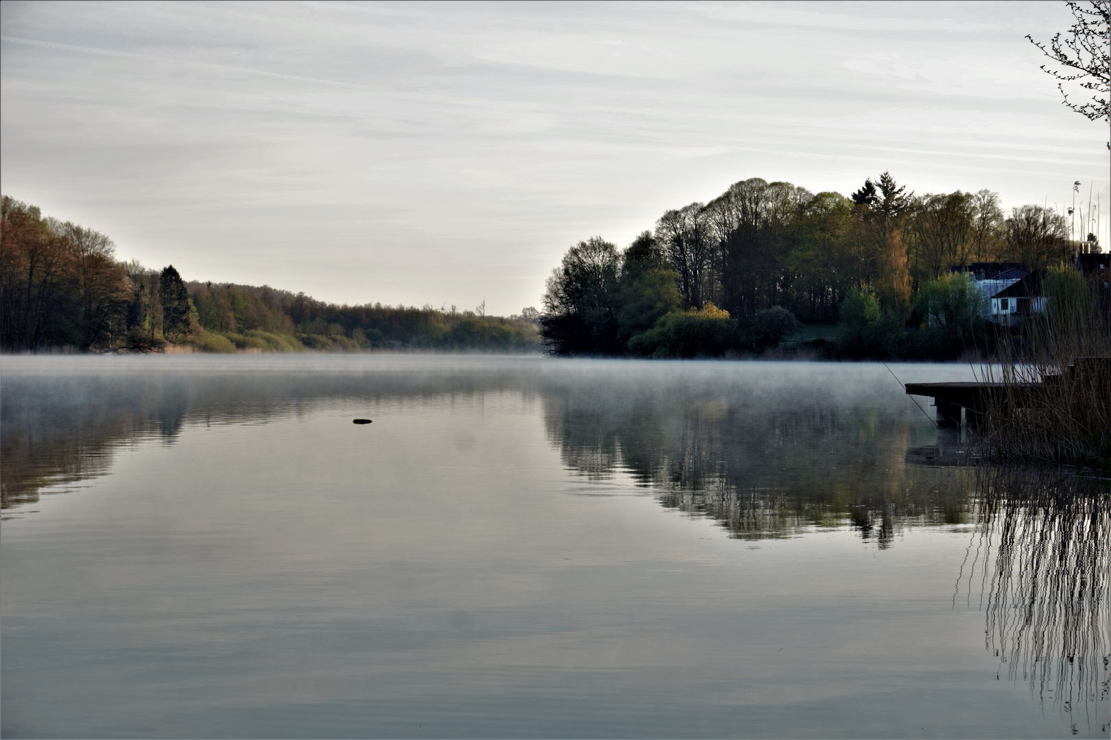 Herrenteich in Reinfeld