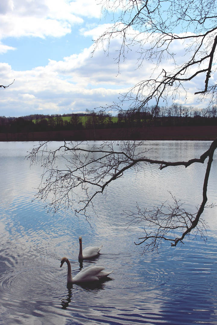 Herrenteich Stangengrün