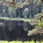 Herrenwieser See, ein Karsee im Schwarzwald 