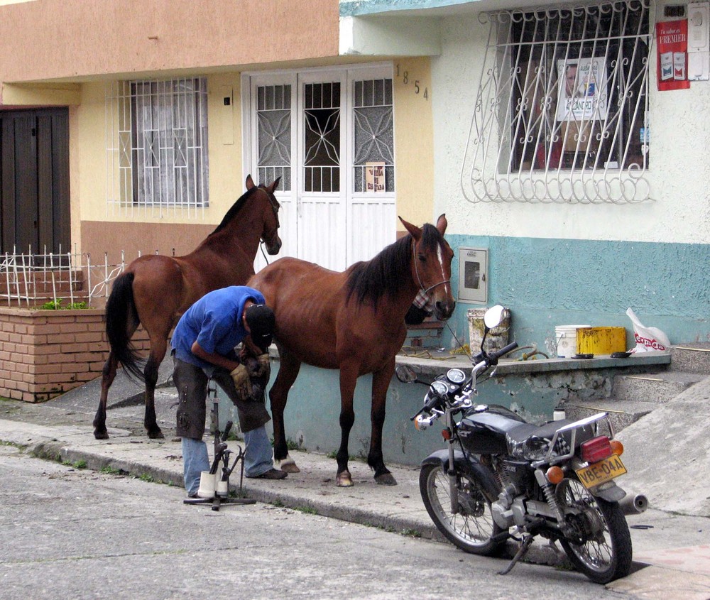 herrero