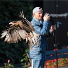 Herrlich an der langen Brennweite vorbei.....