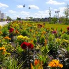 Herrlich buntes Blumenbeet