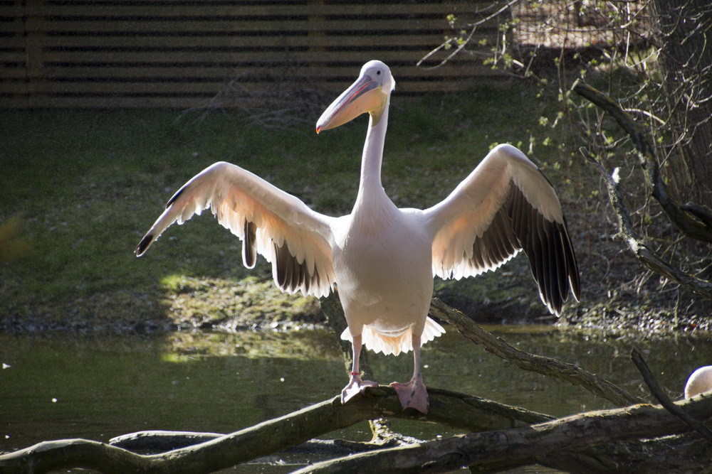 Herrlich die Sonne