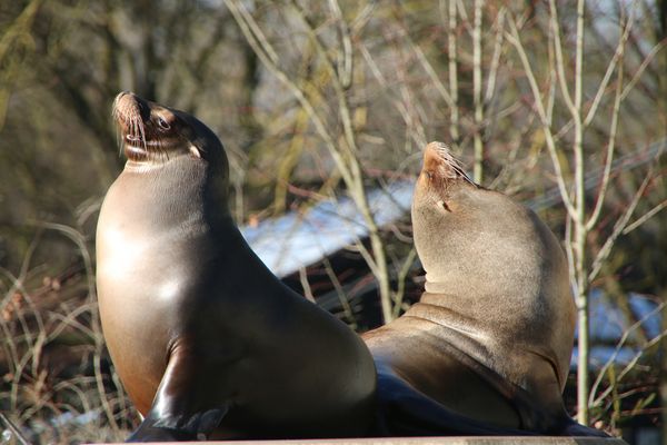 Herrlich, diese Sonne!
