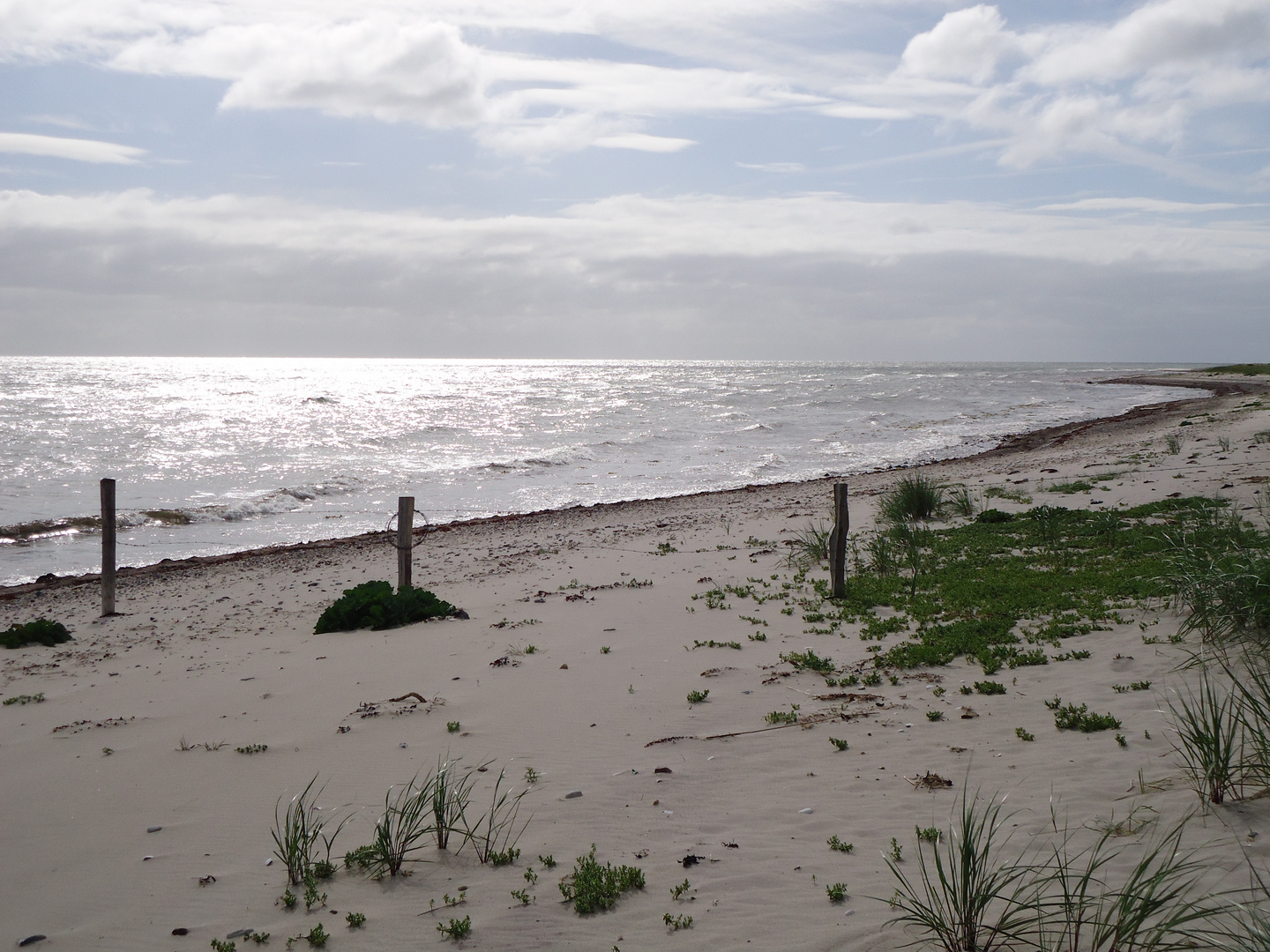 Herrlich glitzert das Meer..