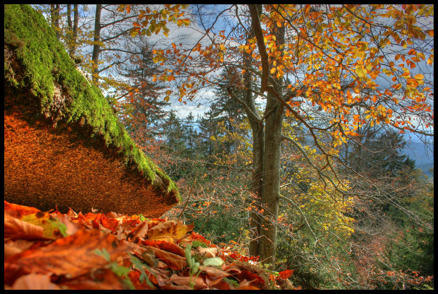 Herrlich Herbstlich