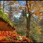 Herrlich Herbstlich