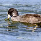 herrlich im Wasser