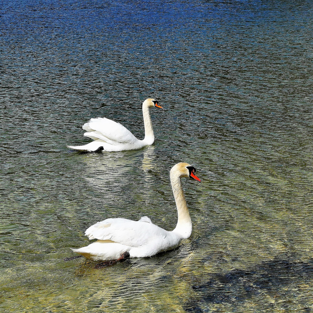 Herrlich klares Wasser