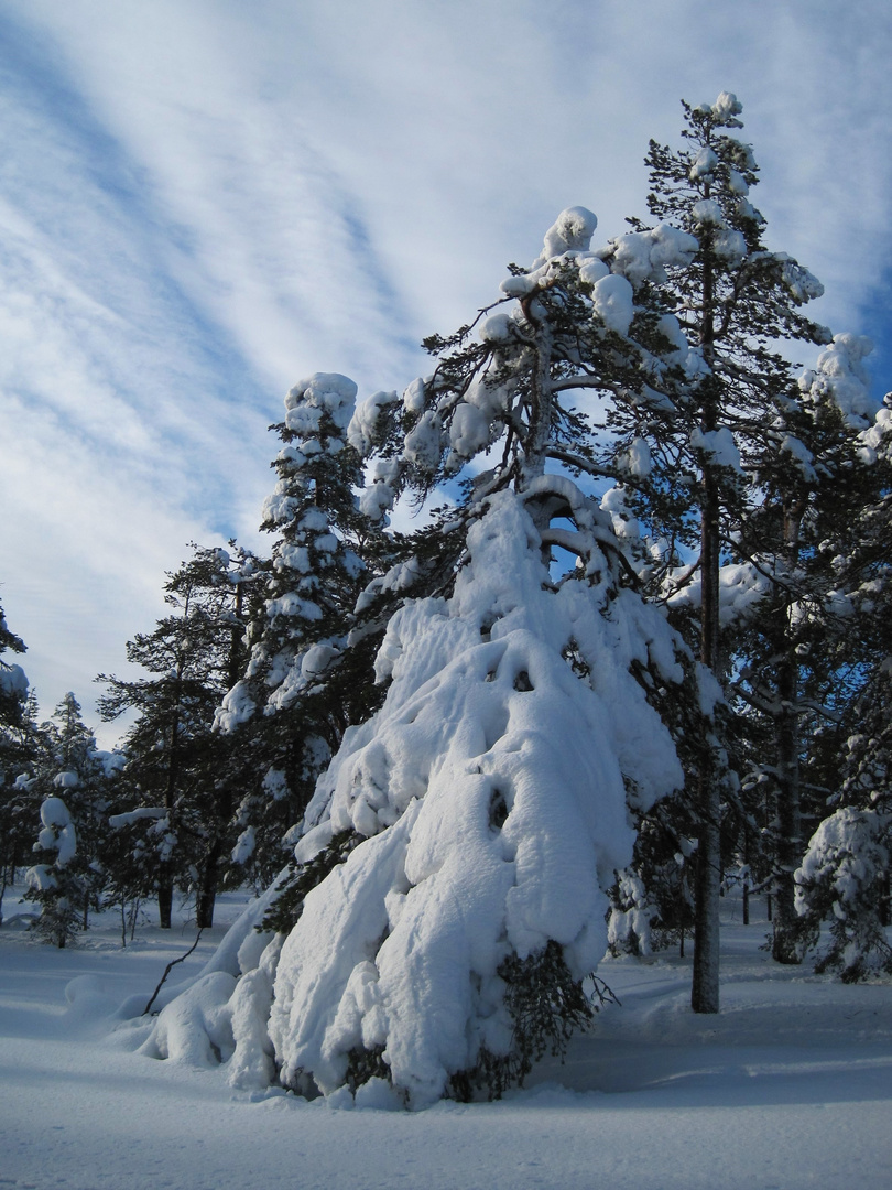 Herrlich viel Schnee