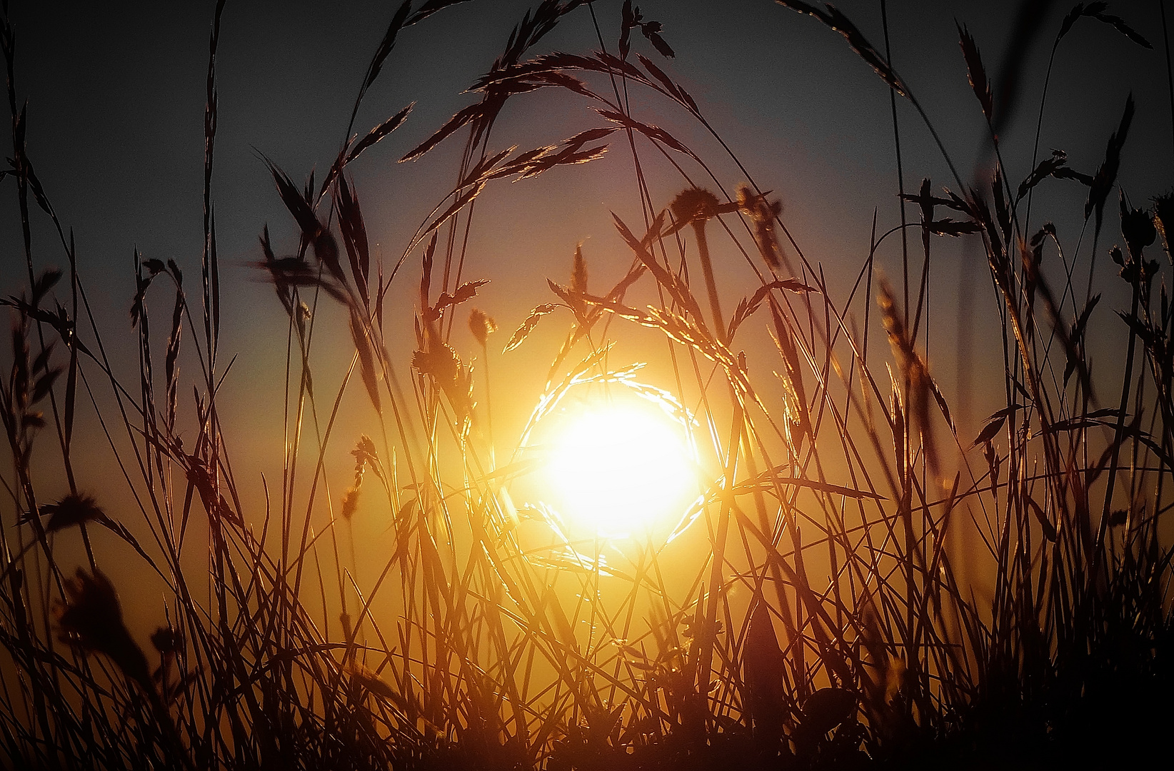 Herrliche Abendstimmung auf dem Diedamskopf