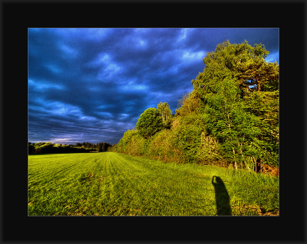 Herrliche Abendstimmung im Dachauer Moos (Mai 2009)