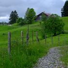 herrliche Alpweiden