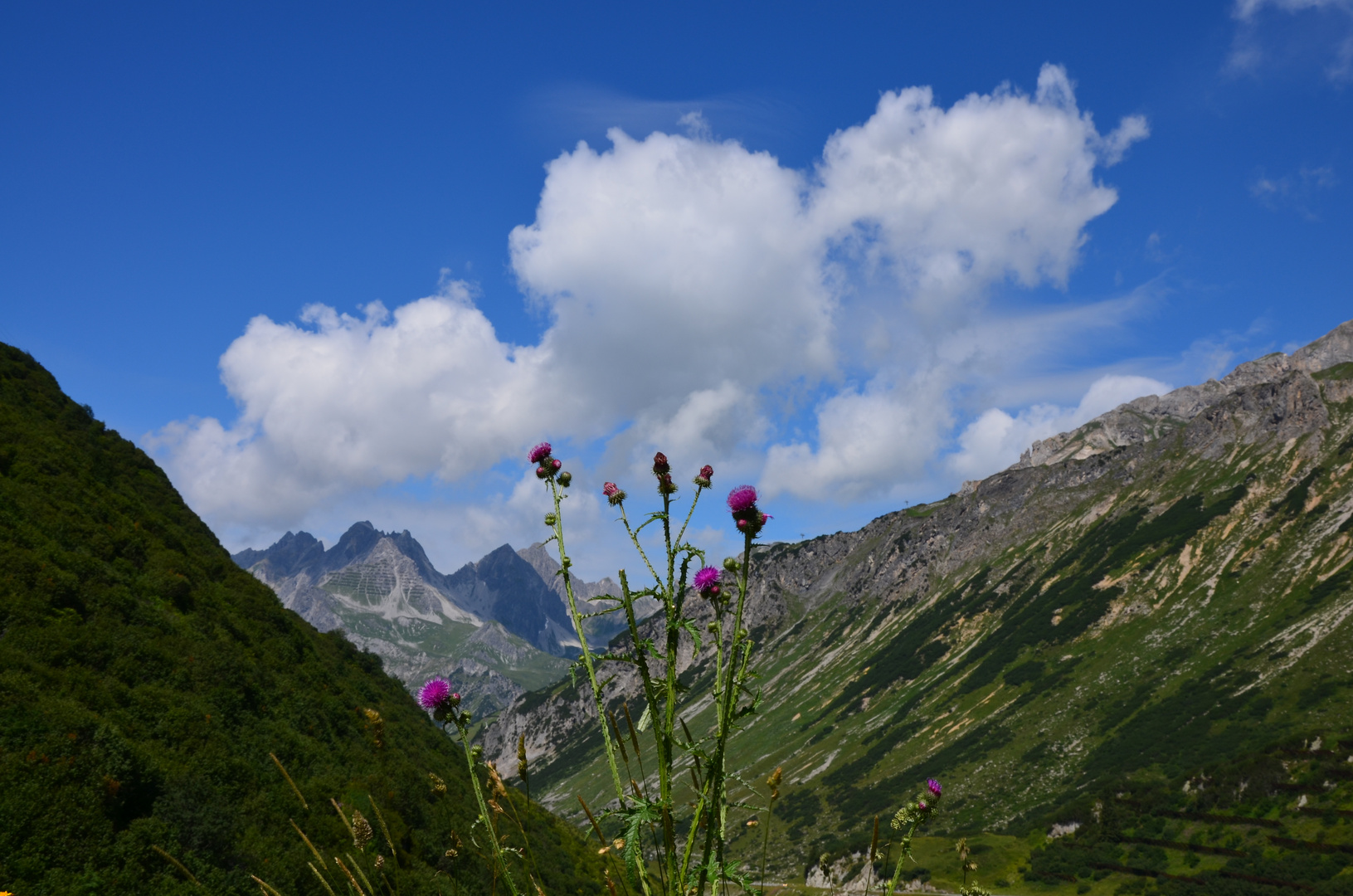 Herrliche Aussicht Foto Bild landschaft berge gipfel Herrliche Aussicht Foto Bild landschaft berge gipfel