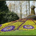 Herrliche Blütenpracht auf der Insel Mainau