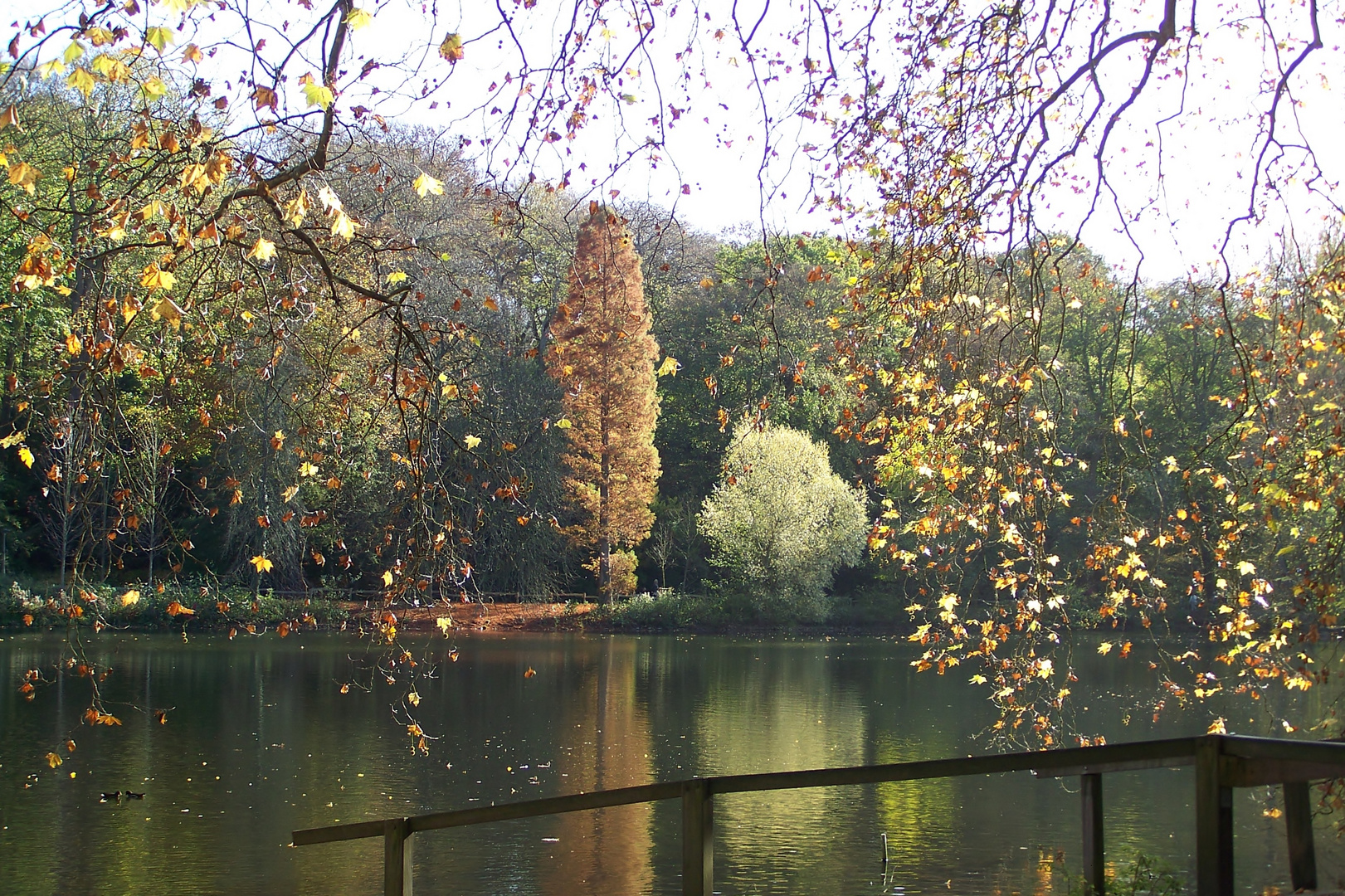 Herrliche Farben, die sich im Wasser spiegeln.