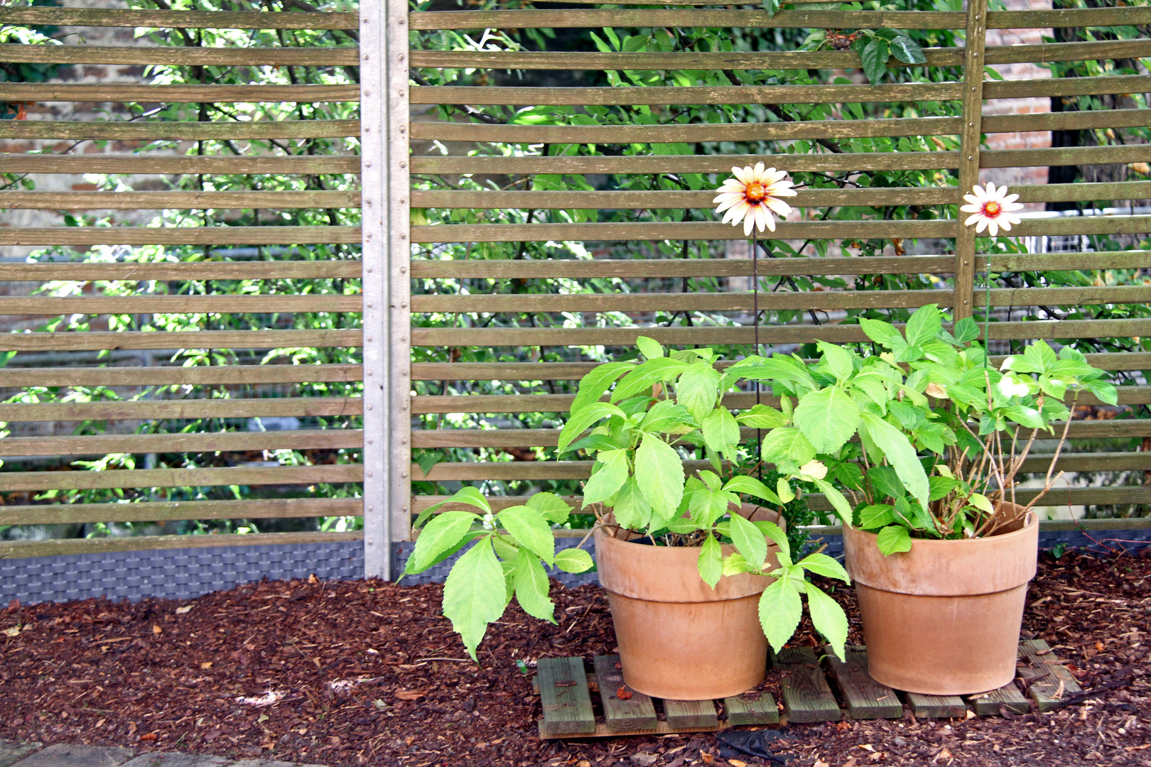 Herrliche Gartenanlagen im Fischerviertel in Ulm Foto & Bild