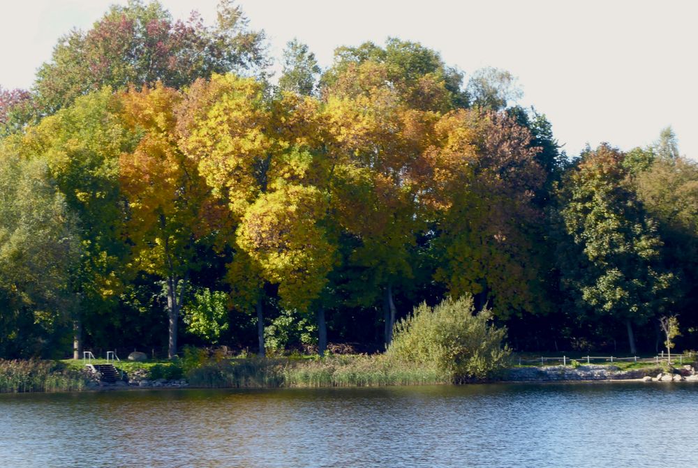 Herrliche Herbstfärbung - 