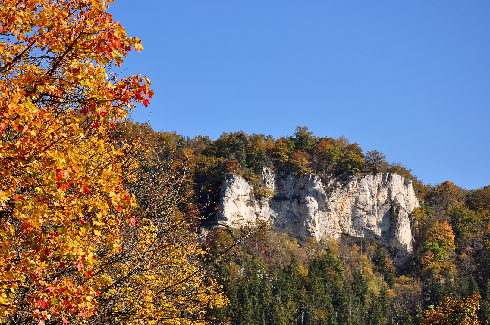 Herrliche Herbstfarben