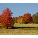 herrliche Herbstlandschaft......