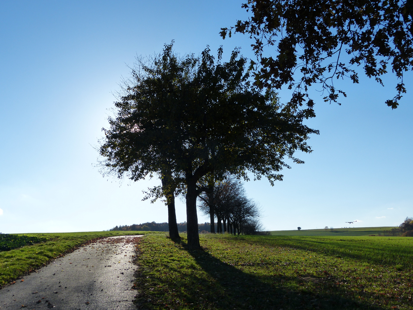 Herrliche Herbstwanderung