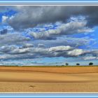 herrliche Landschaft  -  herrlicher Wind