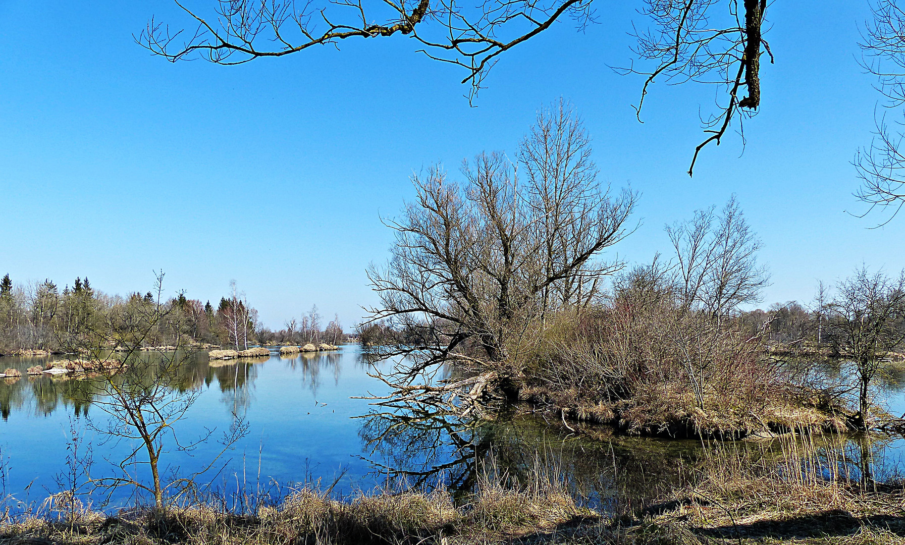 Herrliche Natur