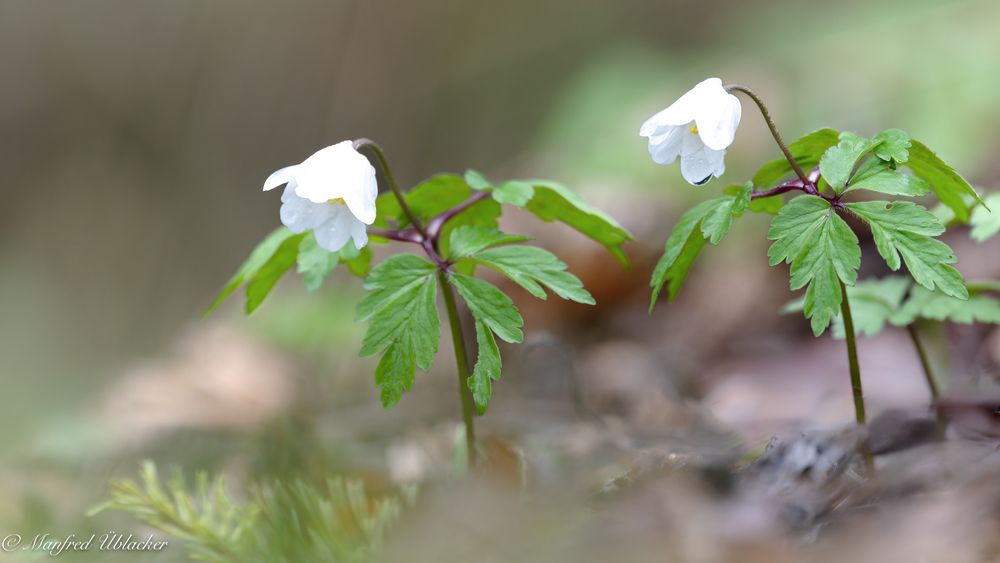 Herrliche Natur ...