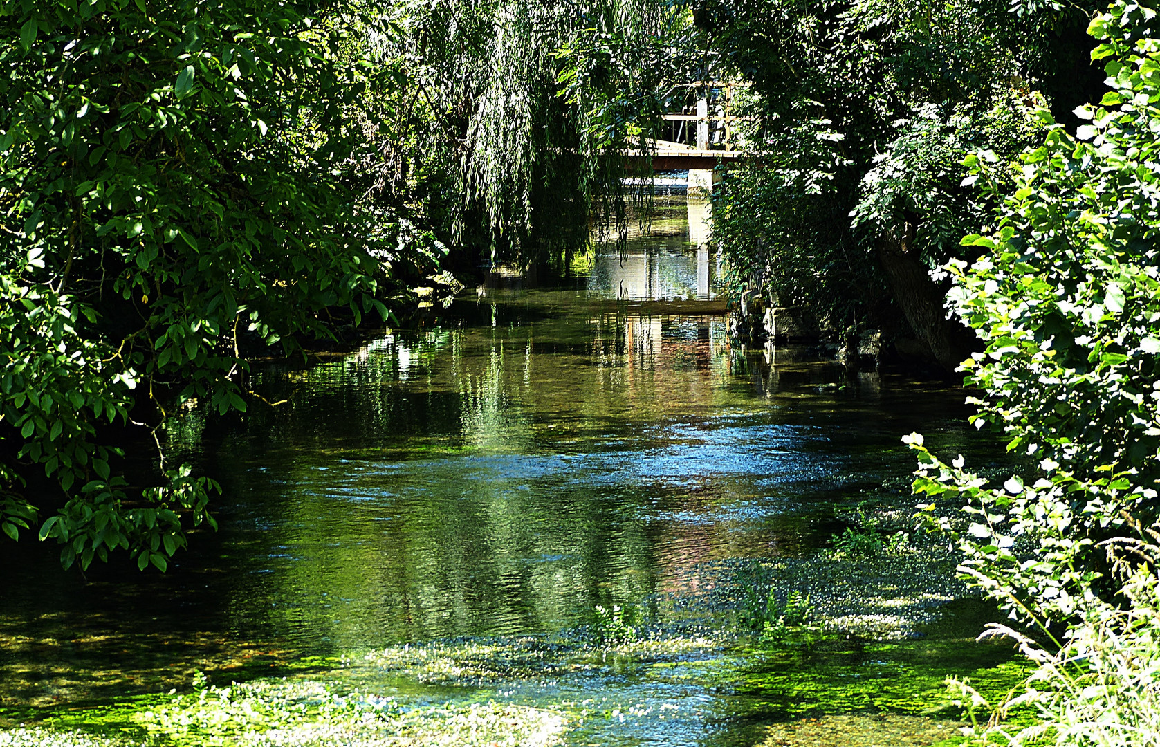 Herrliche Natur beim Blautopf