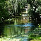 Herrliche Natur beim Blautopf