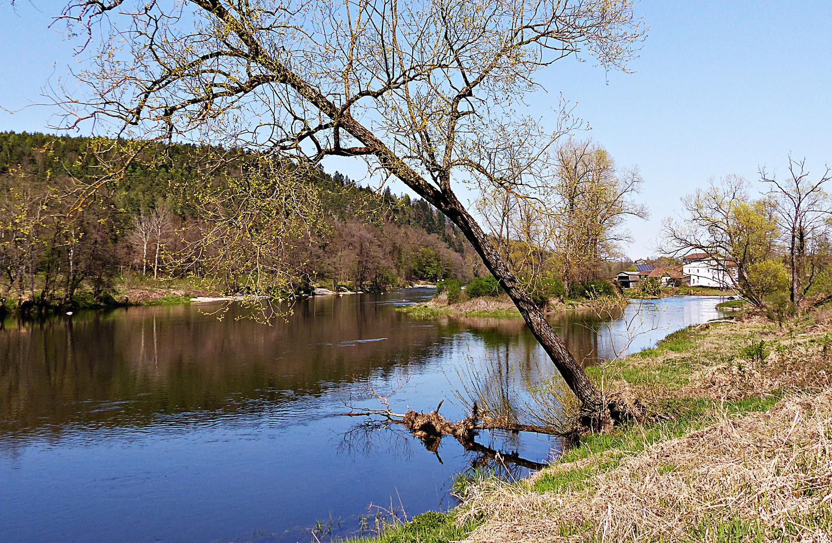 Herrliche Natur