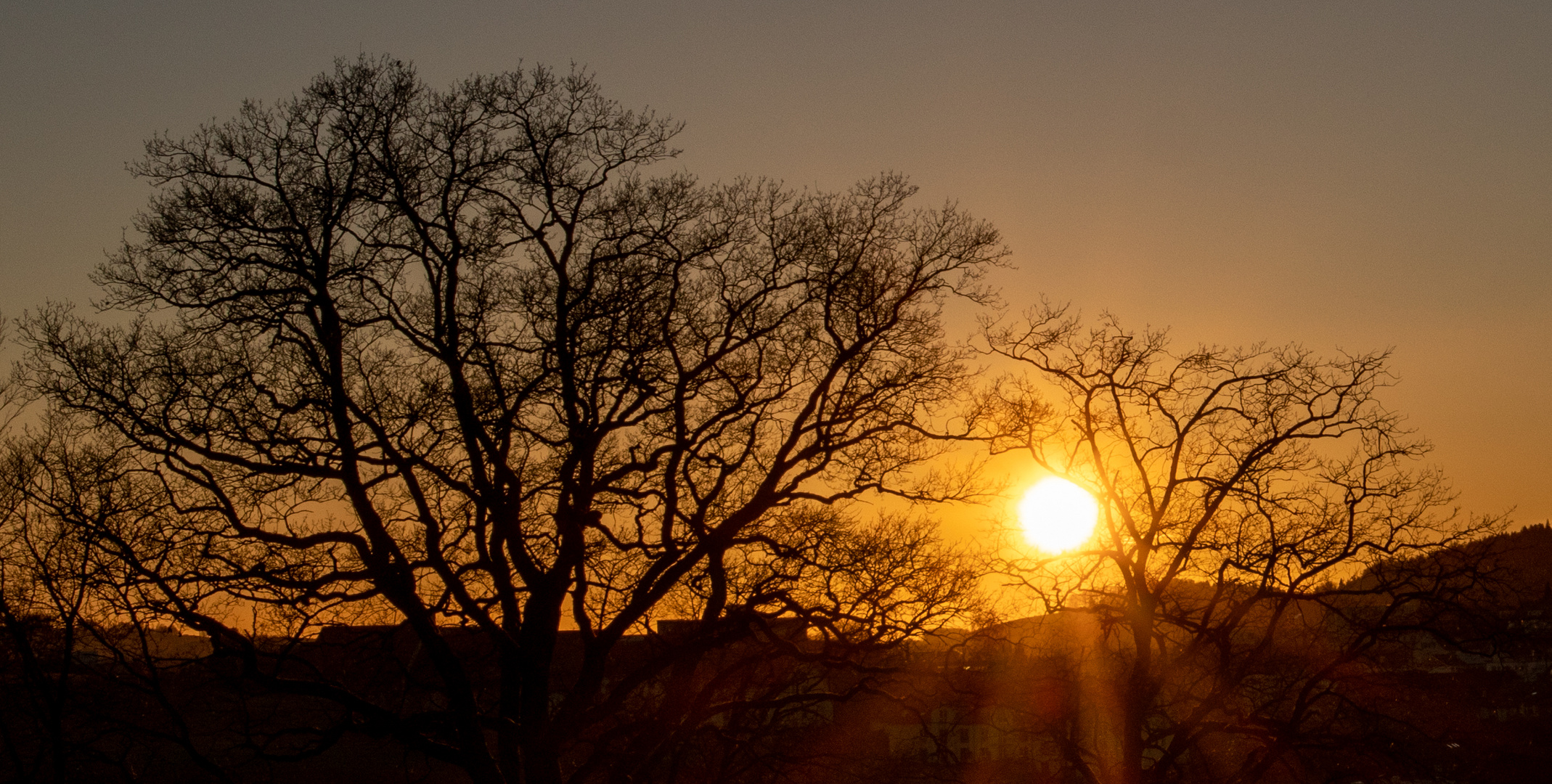 Herrliche Silhouette beim Sonnenuntergang